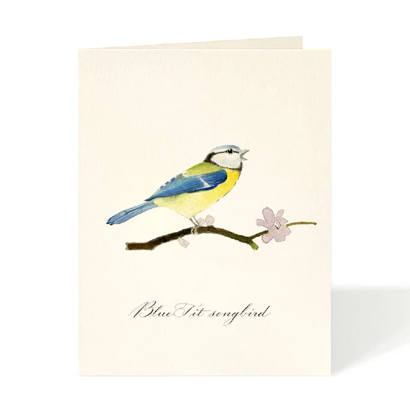 Blue Tit Songbird Everyday Card