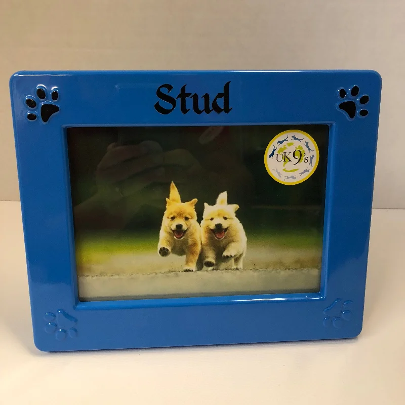 Melamine Rectangle Picture Frame 5"x7" Blue "Stud"