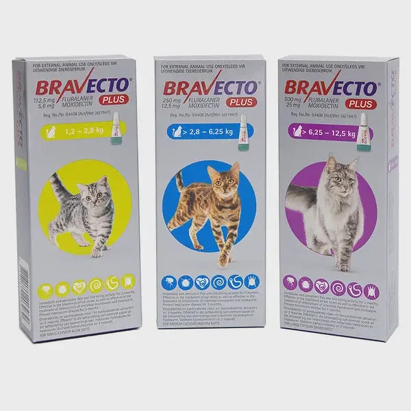 BRAVECTO PLUS CAT