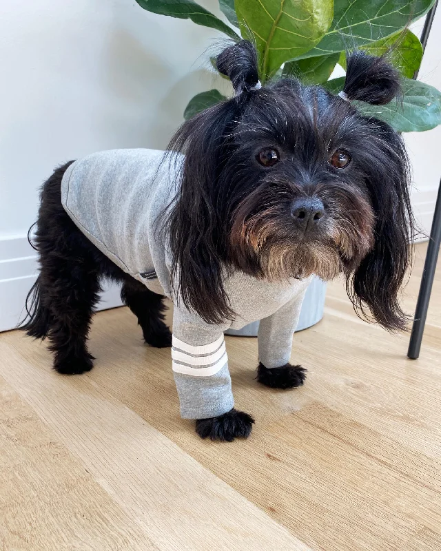 Stripe Point Turtleneck in Grey (Dog & Co. Excusive)