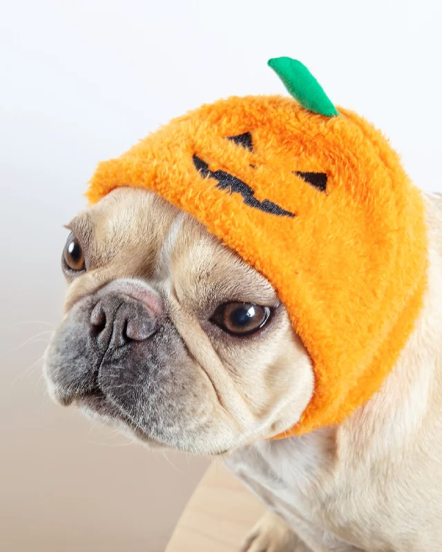 Jack-O'Hat Howloween Dog Hat