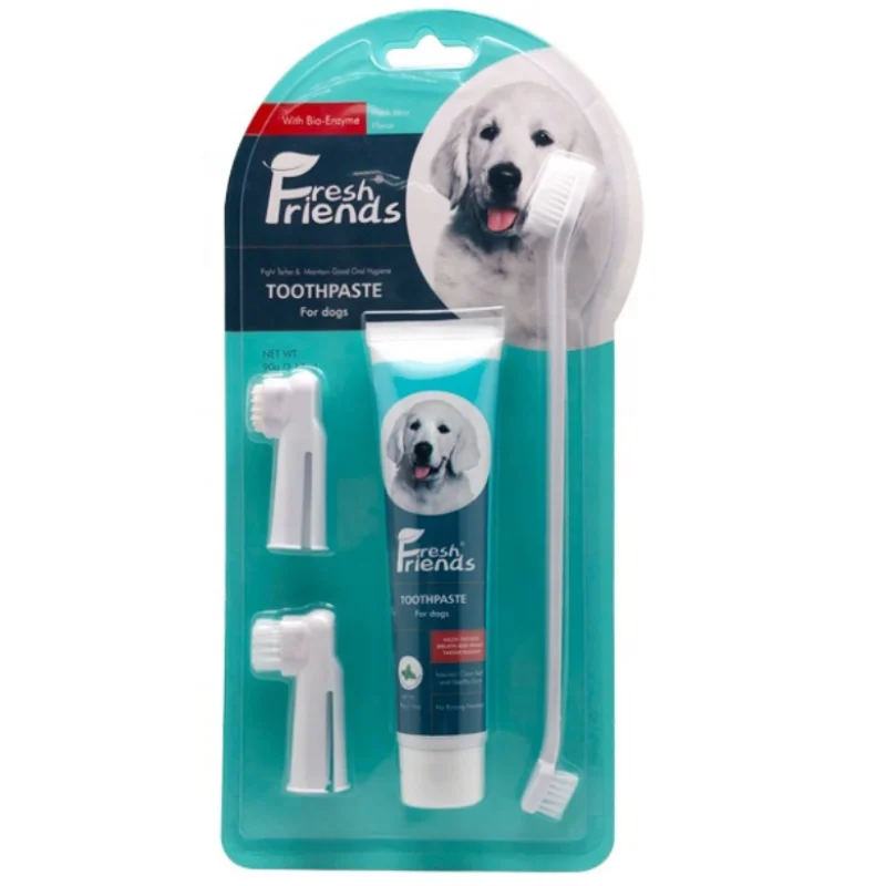 Fresh Friends Dog Dental Care Kit Mint Flavor With Bio-Enzyme 90g