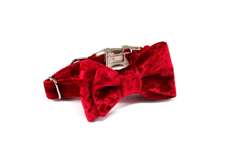 TRAX TIES | The Elton Classic Bow Tie