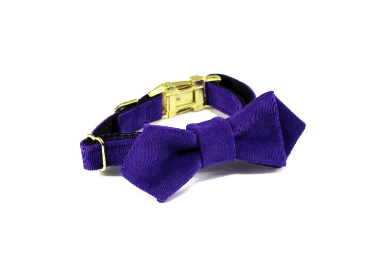 TRAX TIES | The Jones Contemporary Bow Tie and Collar